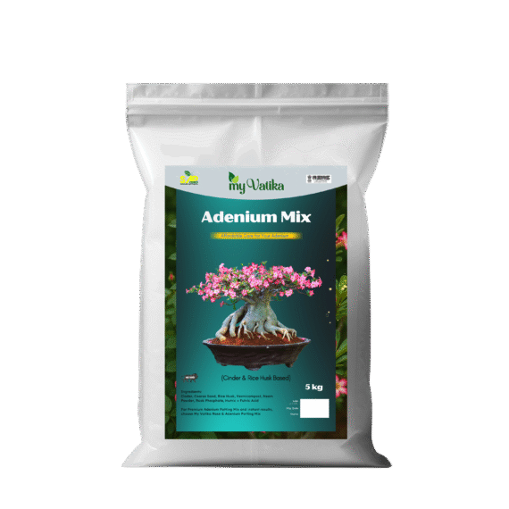 Adenium Potting Mix (Rice Husk & Cinder Based)